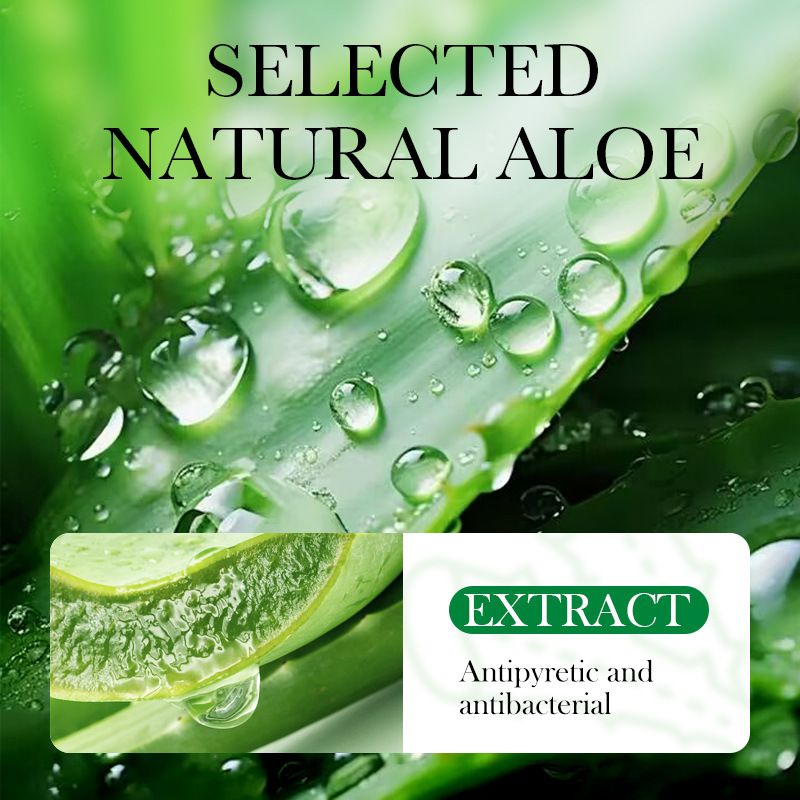 Wachspapierstreifen mit Aloe V – Hair Care With Aloe Vera Bewertung und Preis